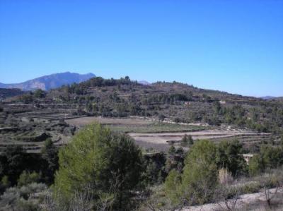 Lots/Land For sale in benillup, alicante, Spain